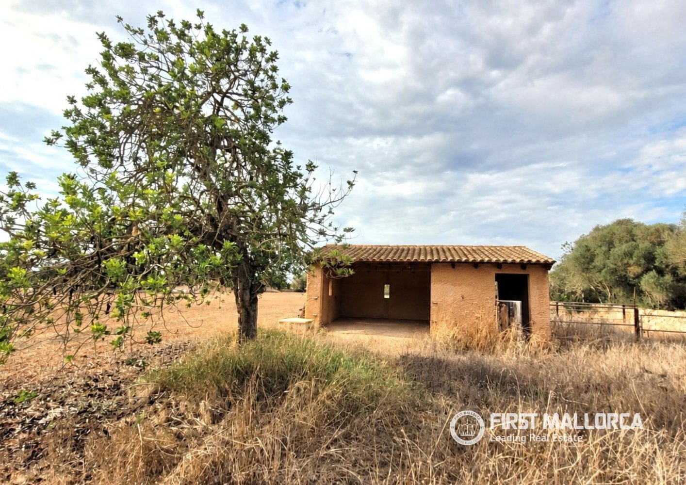 Land in Campos, Mallorca, Spanien 17676 m2 Nr. 198769
