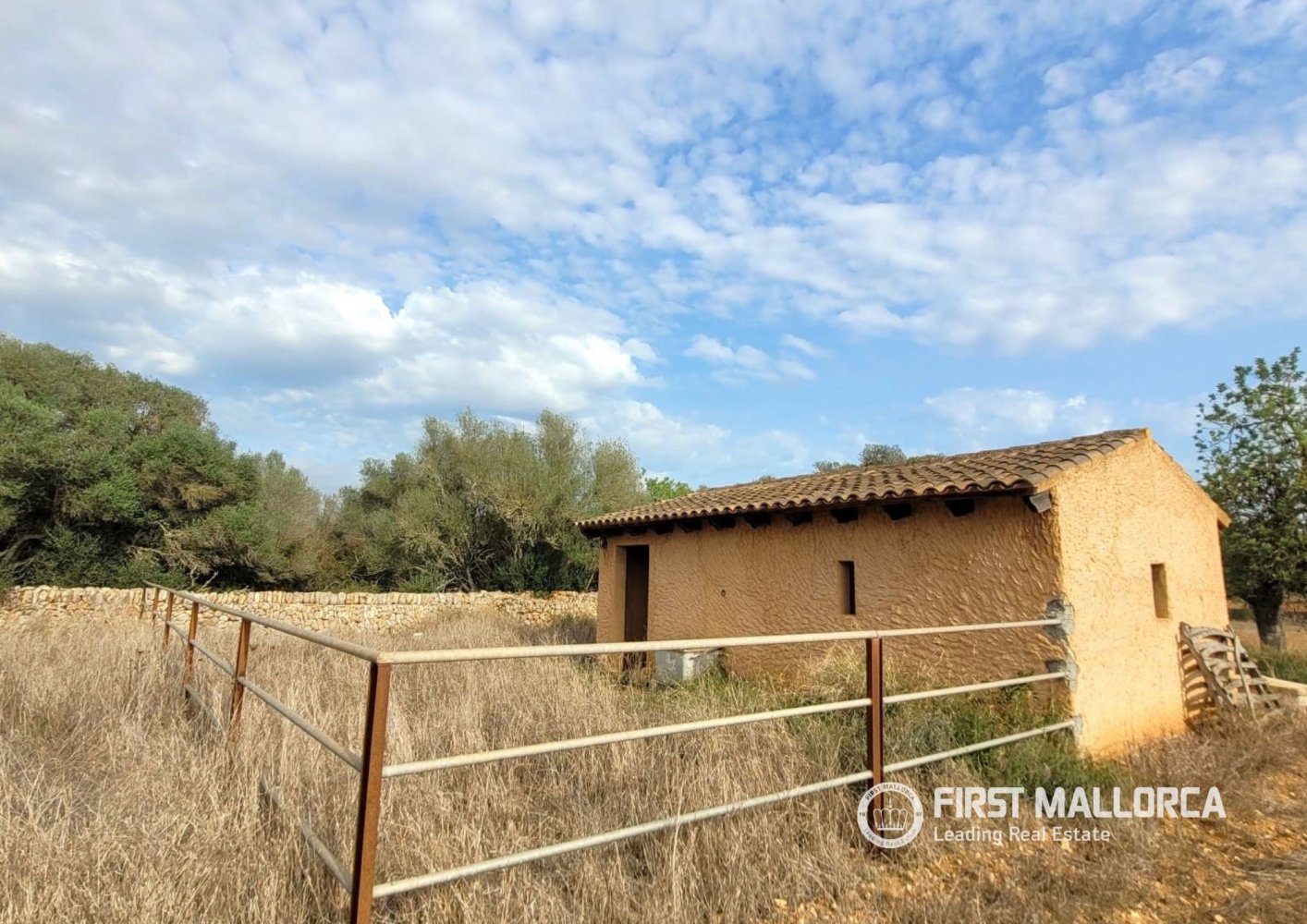 Land in Campos, Mallorca, Spanien 17676 m2 Nr. 198769