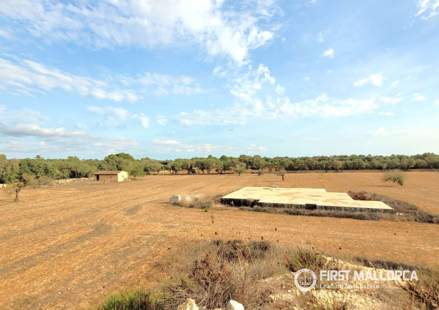Land in Campos, Mallorca, Spanien 17676 m2 Nr. 198769
