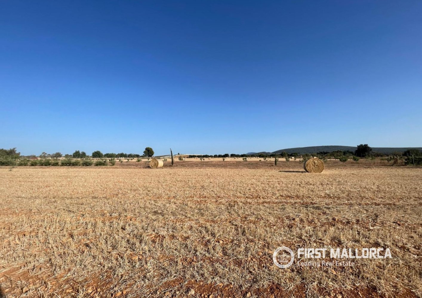Zemes gabals Santa Maria Del Cami, Mallorca, Spānijā 4 istabas, 32570 m2 Nr. 197362