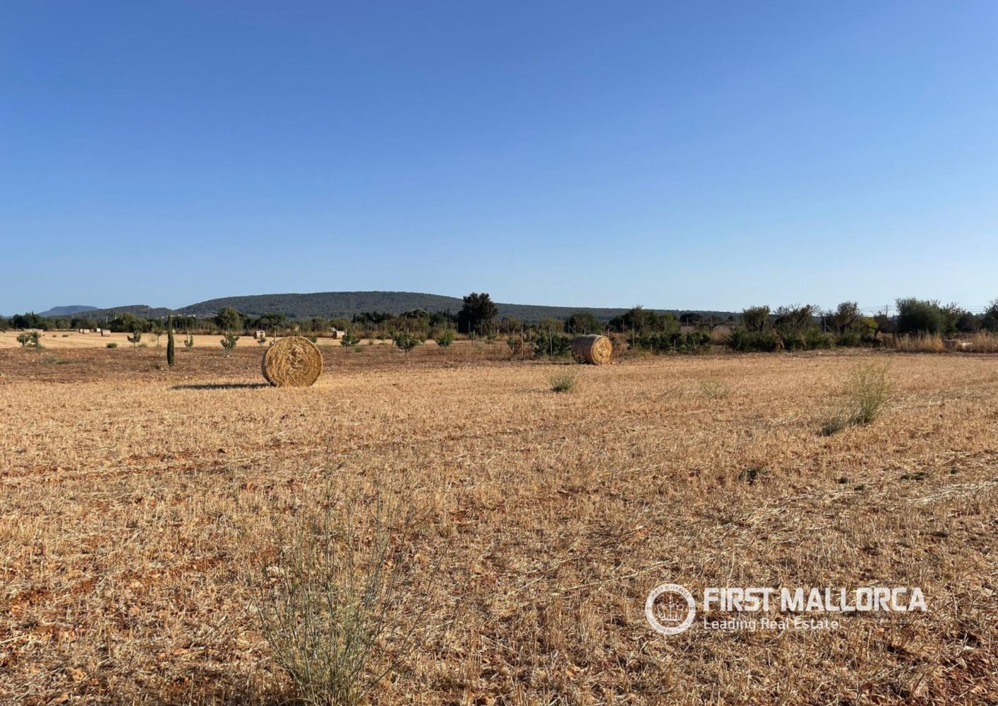 Zemes gabals Santa Maria Del Cami, Mallorca, Spānijā 4 istabas, 32570 m2 Nr. 197362