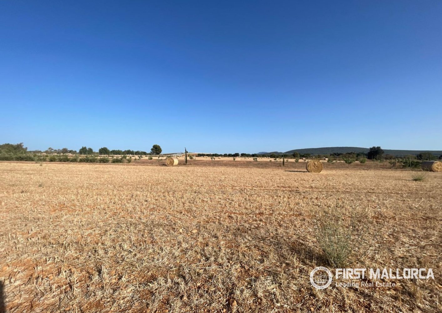 Zemes gabals Santa Maria Del Cami, Mallorca, Spānijā 4 istabas, 32570 m2 Nr. 197362