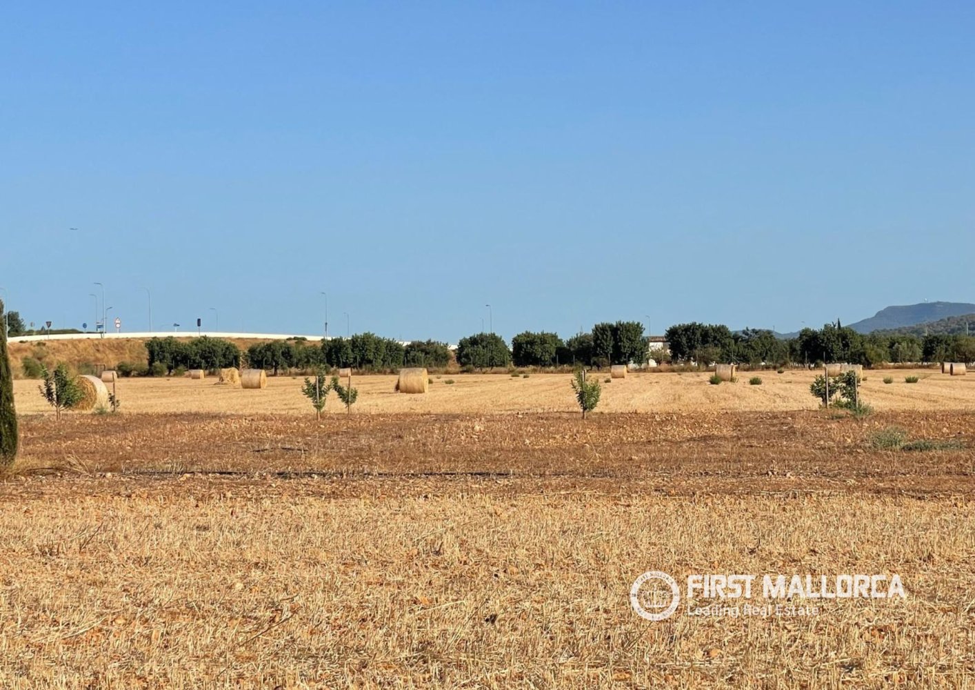Zemes gabals Santa Maria Del Cami, Mallorca, Spānijā 4 istabas, 32570 m2 Nr. 197362