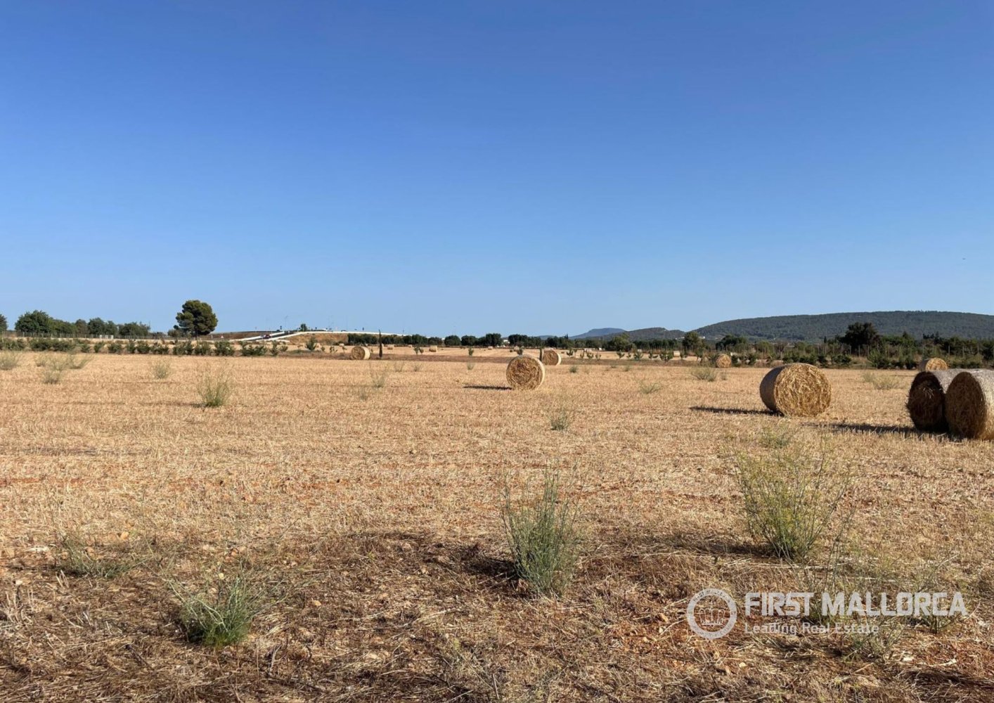 Zemes gabals Santa Maria Del Cami, Mallorca, Spānijā 4 istabas, 32570 m2 Nr. 197362