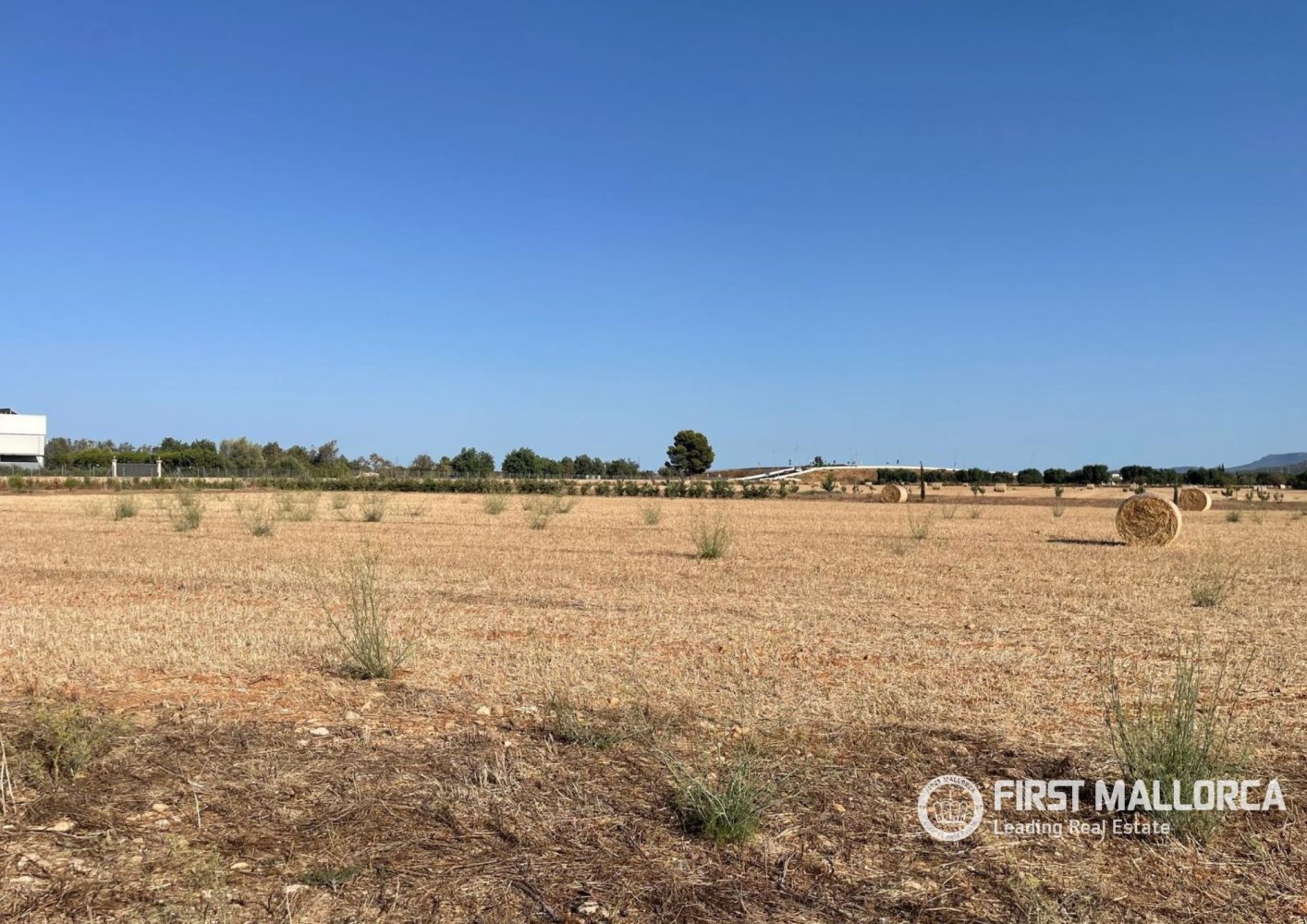 Zemes gabals Santa Maria Del Cami, Mallorca, Spānijā 4 istabas, 32570 m2 Nr. 197362