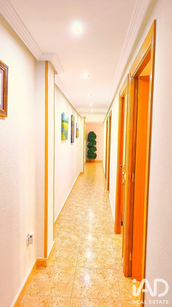 Dzīvoklis San Vicente del Raspeig, Alicante, Spānijā 3 istabas, 115 m2 Nr. 197673