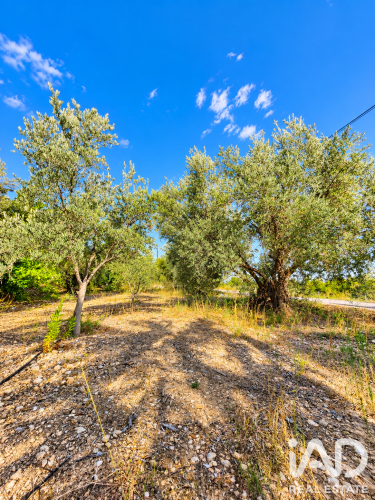 Land plot à Calasparra, Murcia, Espagne 4100 m2 No. 199621