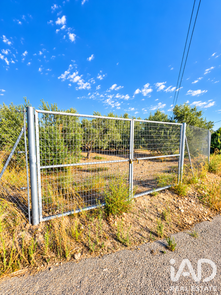 Land plot à Calasparra, Murcia, Espagne 4100 m2 No. 199621