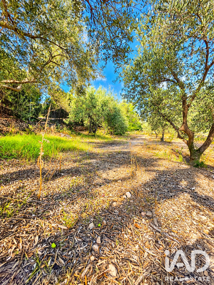 Land plot à Calasparra, Murcia, Espagne 4100 m2 No. 199621
