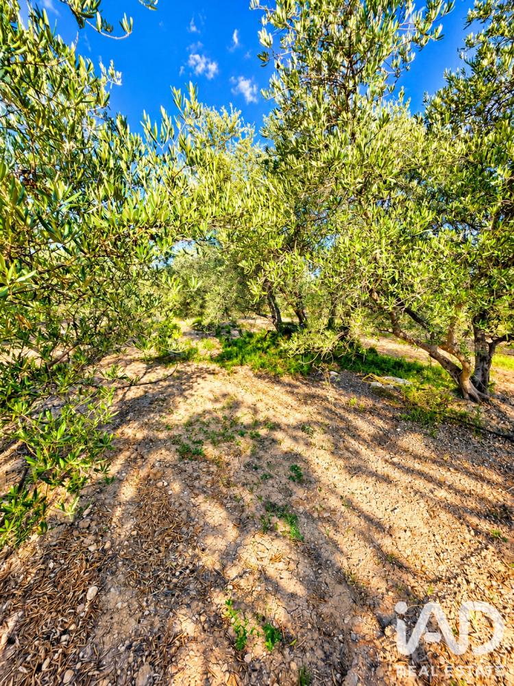 Land plot à Calasparra, Murcia, Espagne 4100 m2 No. 199621