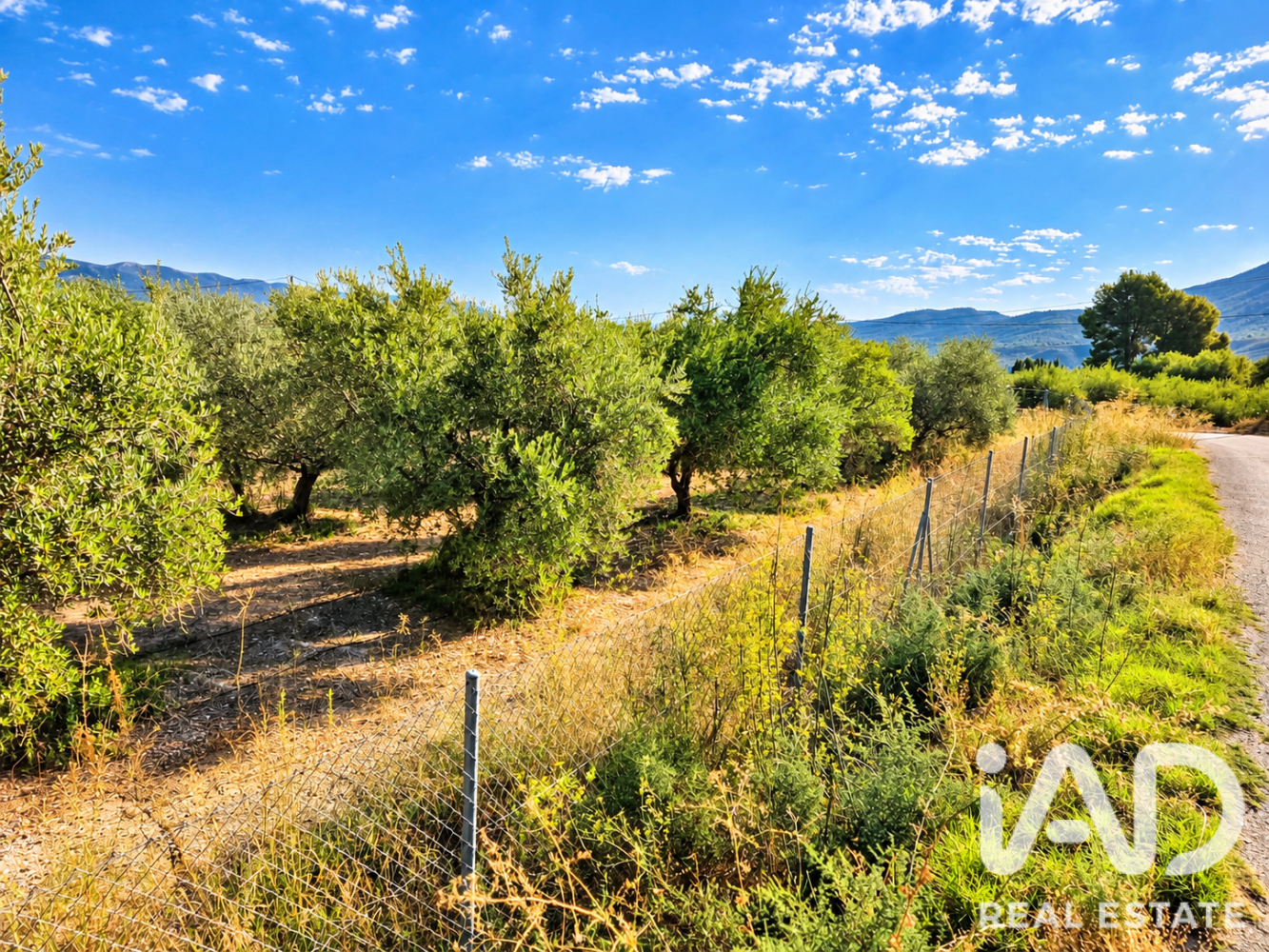 Land plot à Calasparra, Murcia, Espagne 4100 m2 No. 199621