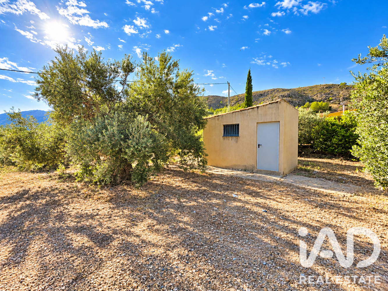 Land plot à Calasparra, Murcia, Espagne 4100 m2 No. 199621