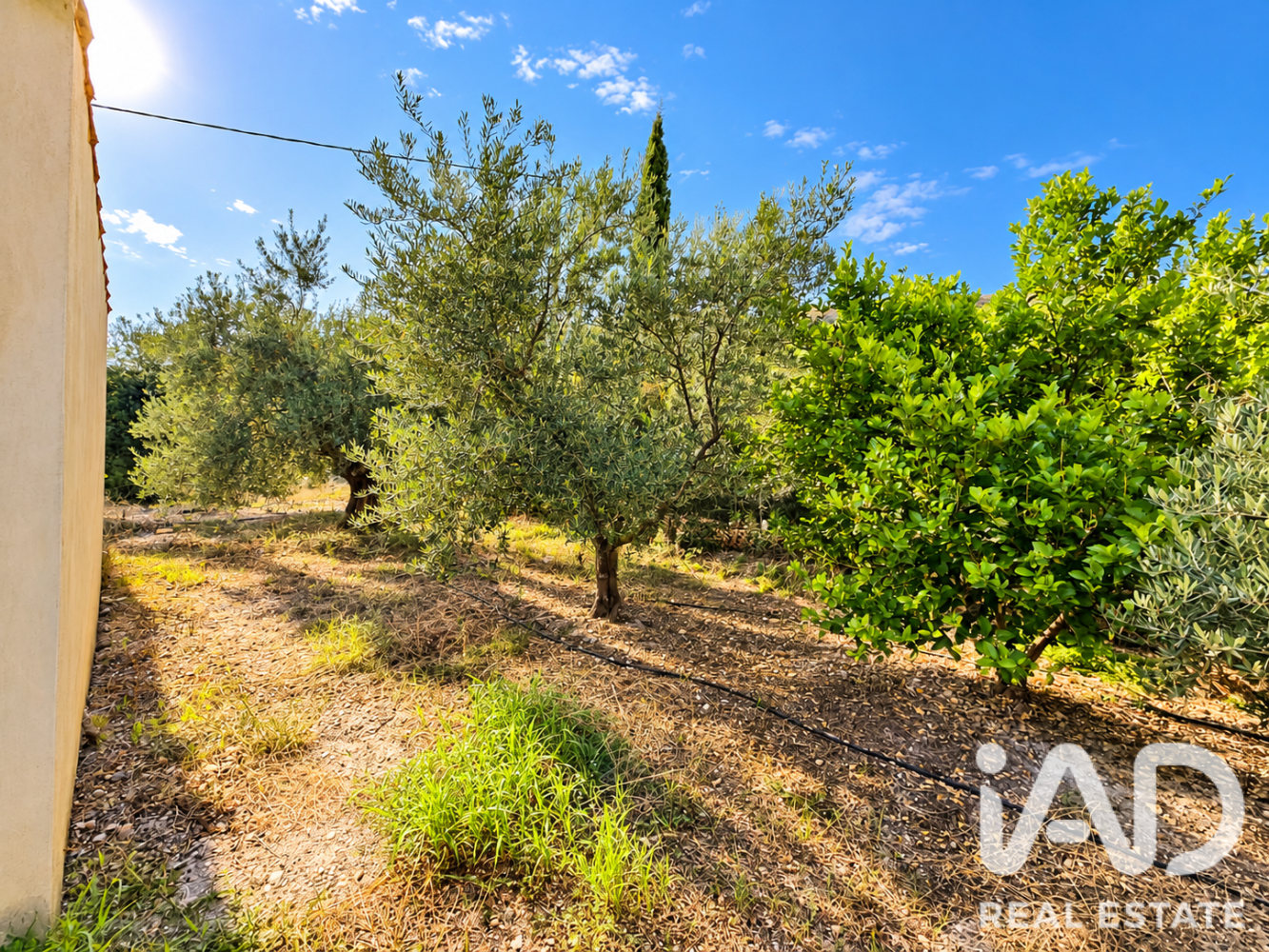 Land plot à Calasparra, Murcia, Espagne 4100 m2 No. 199621