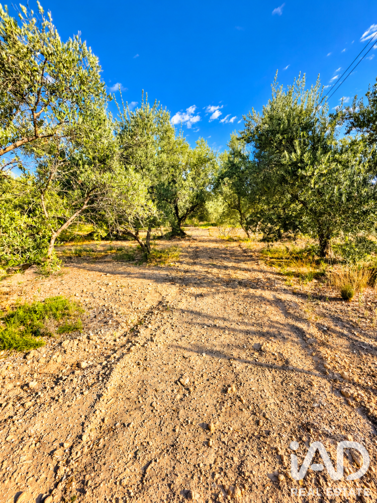 Land plot à Calasparra, Murcia, Espagne 4100 m2 No. 199621