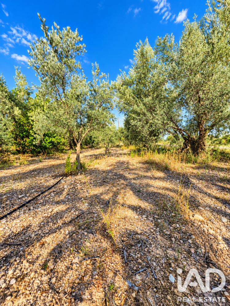 Land plot à Calasparra, Murcia, Espagne 4100 m2 No. 199621