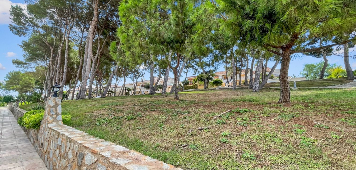 Apartament w Mil Palmeras, Alicante, Hiszpania 2 sypialnie, 68 mkw. nr 198266