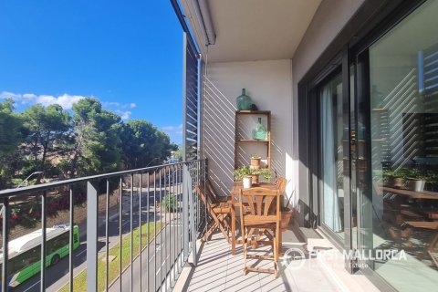 Apartamento en Palma de Mallorca, Mallorca, España 3 dormitorios, 100 m2 No. 199227