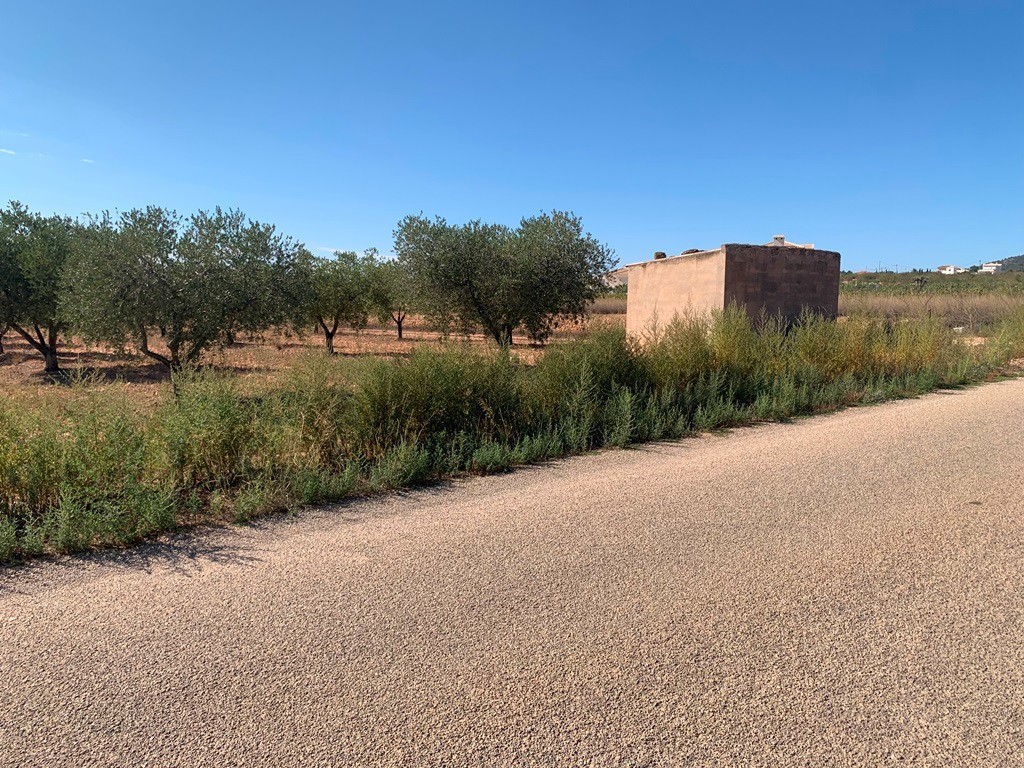 Villa en Pinoso, Alicante, España 4 dormitorios, 210 m2 No. 199284