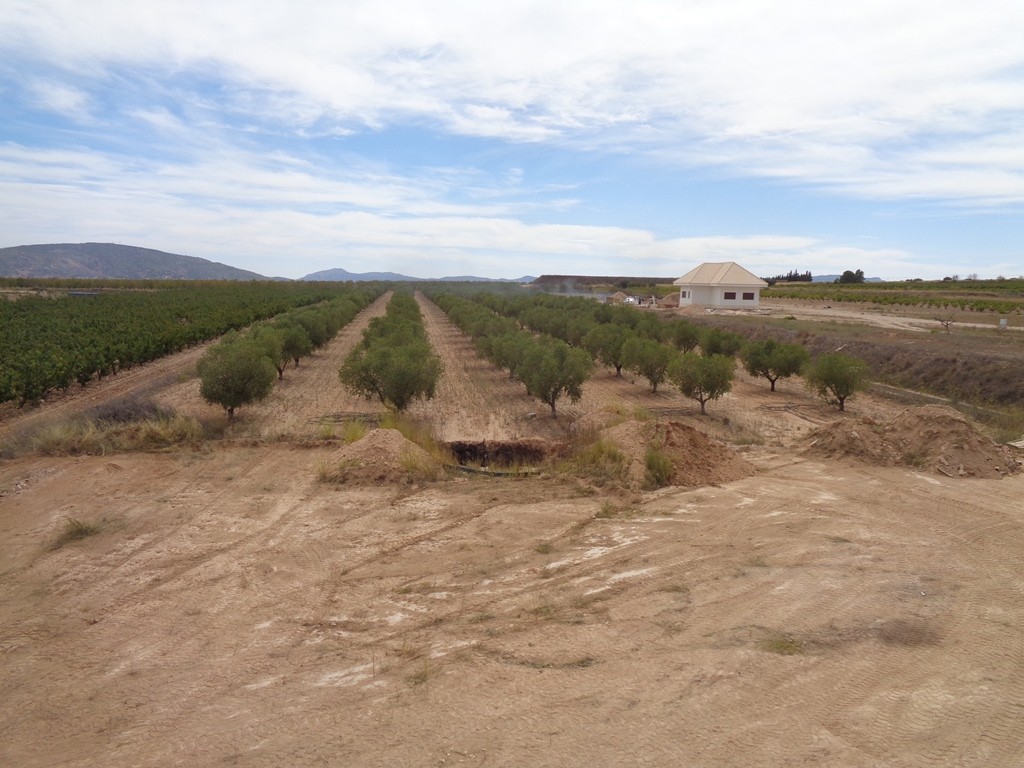 Villa en Pinoso, Alicante, España 4 dormitorios, 210 m2 No. 199284