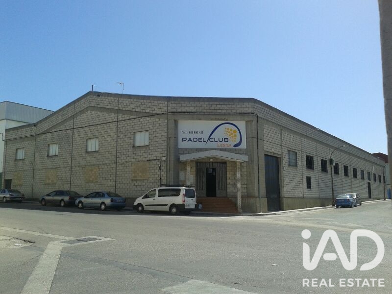 Commercial property in Lucena, Cordoba, Spain 2291 sq.m. No. 199519