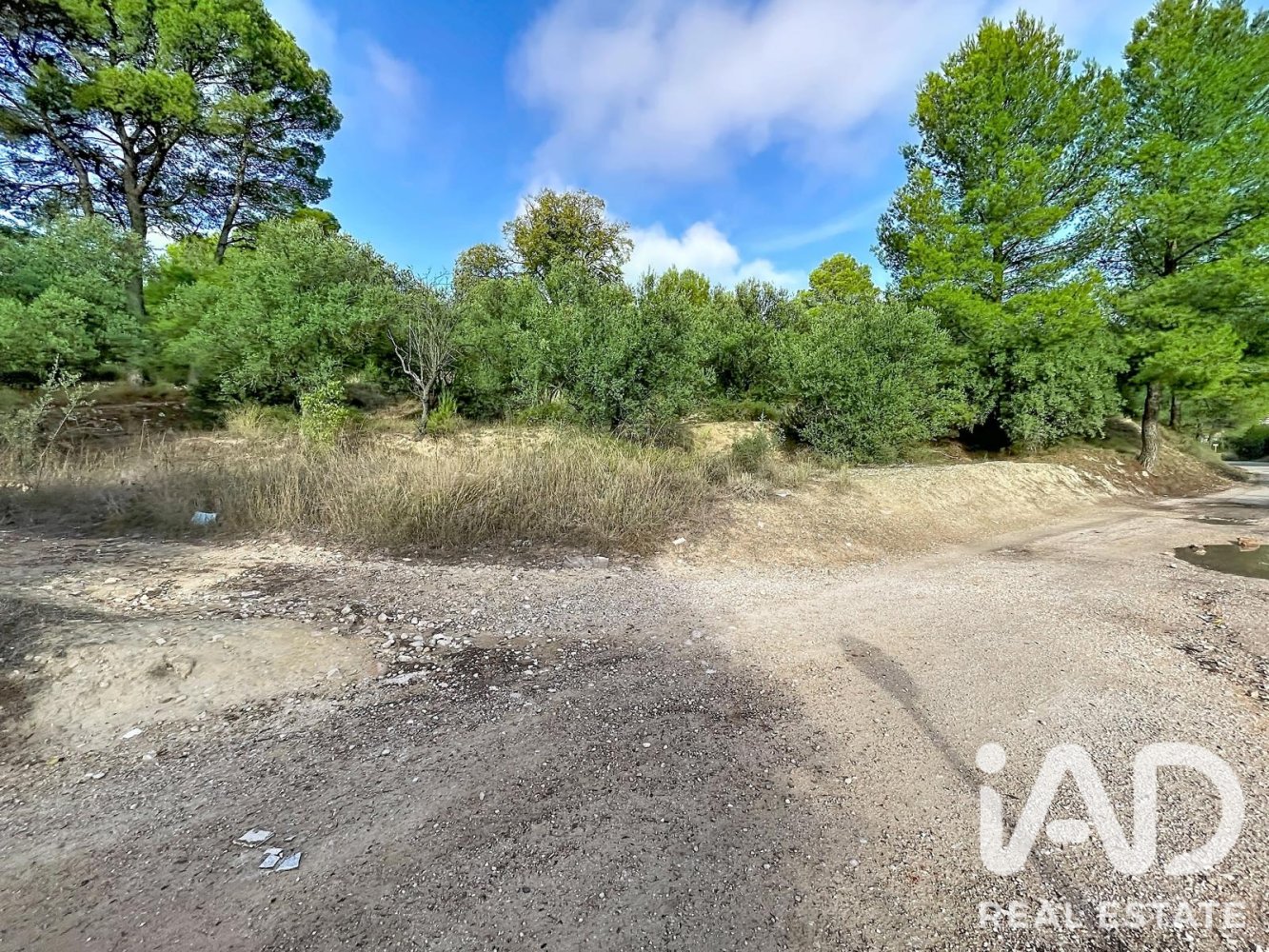 Zemes gabals Muro de Alcoy, Alicante, Spānijā 120274 m2 Nr. 198634