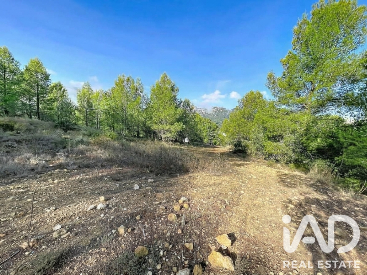 Zemes gabals Muro de Alcoy, Alicante, Spānijā 120274 m2 Nr. 198634