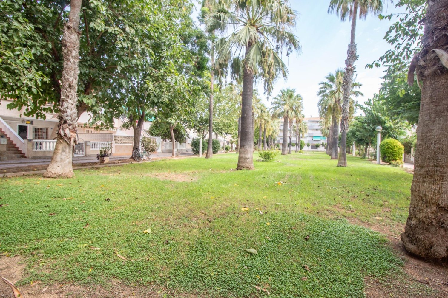 Apartment à Campoamor, Alicante, Espagne 53 m2 No. 199656