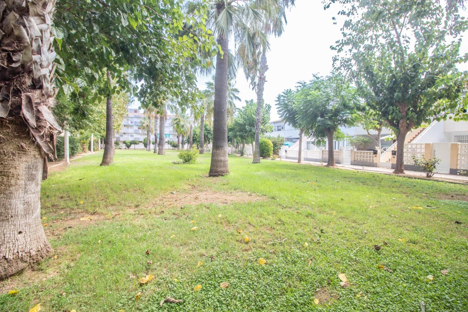 Apartment à Campoamor, Alicante, Espagne 53 m2 No. 199656
