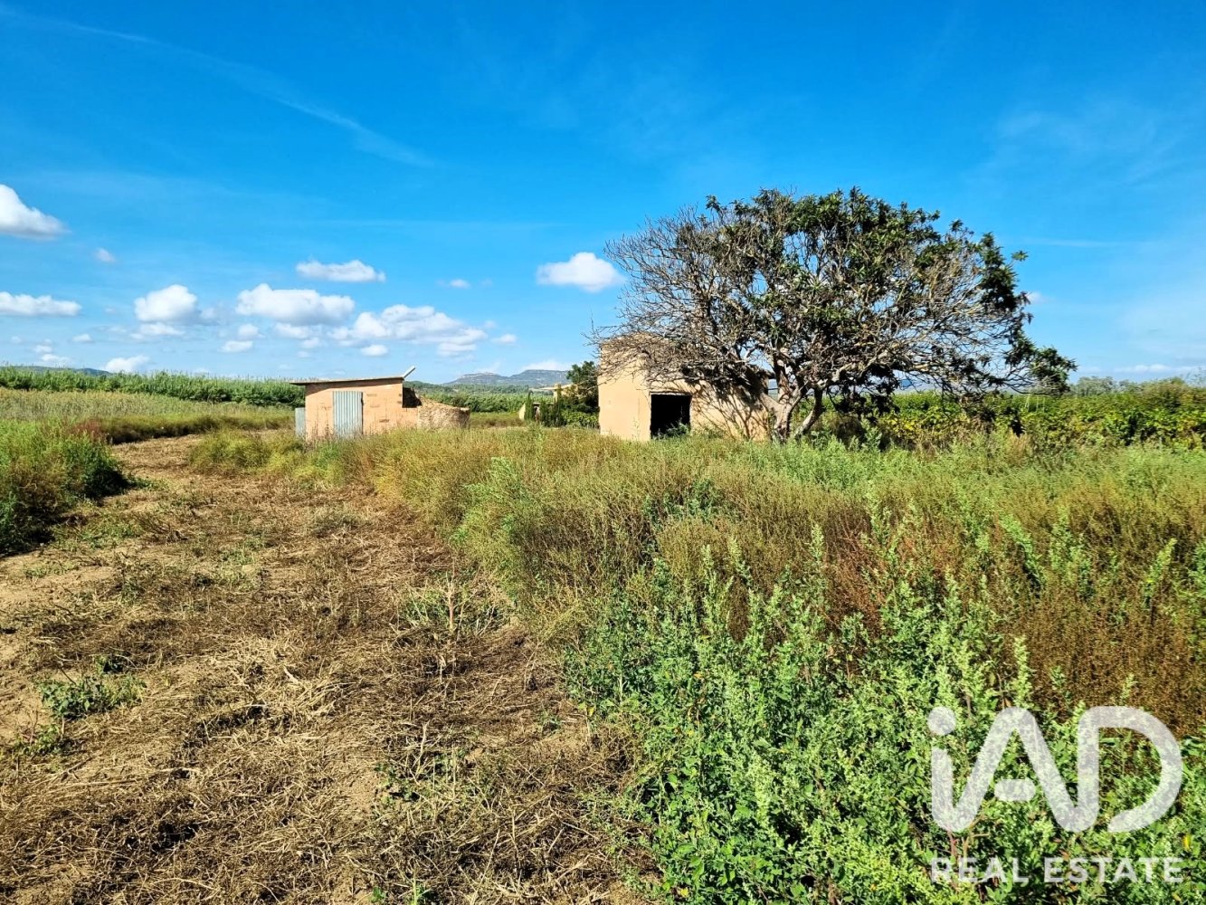 Land plot à Ginestar, Tarragona, Espagne 6228 m2 No. 198607