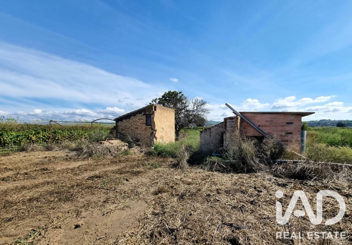 Land plot à Ginestar, Tarragona, Espagne 6228 m2 No. 198607