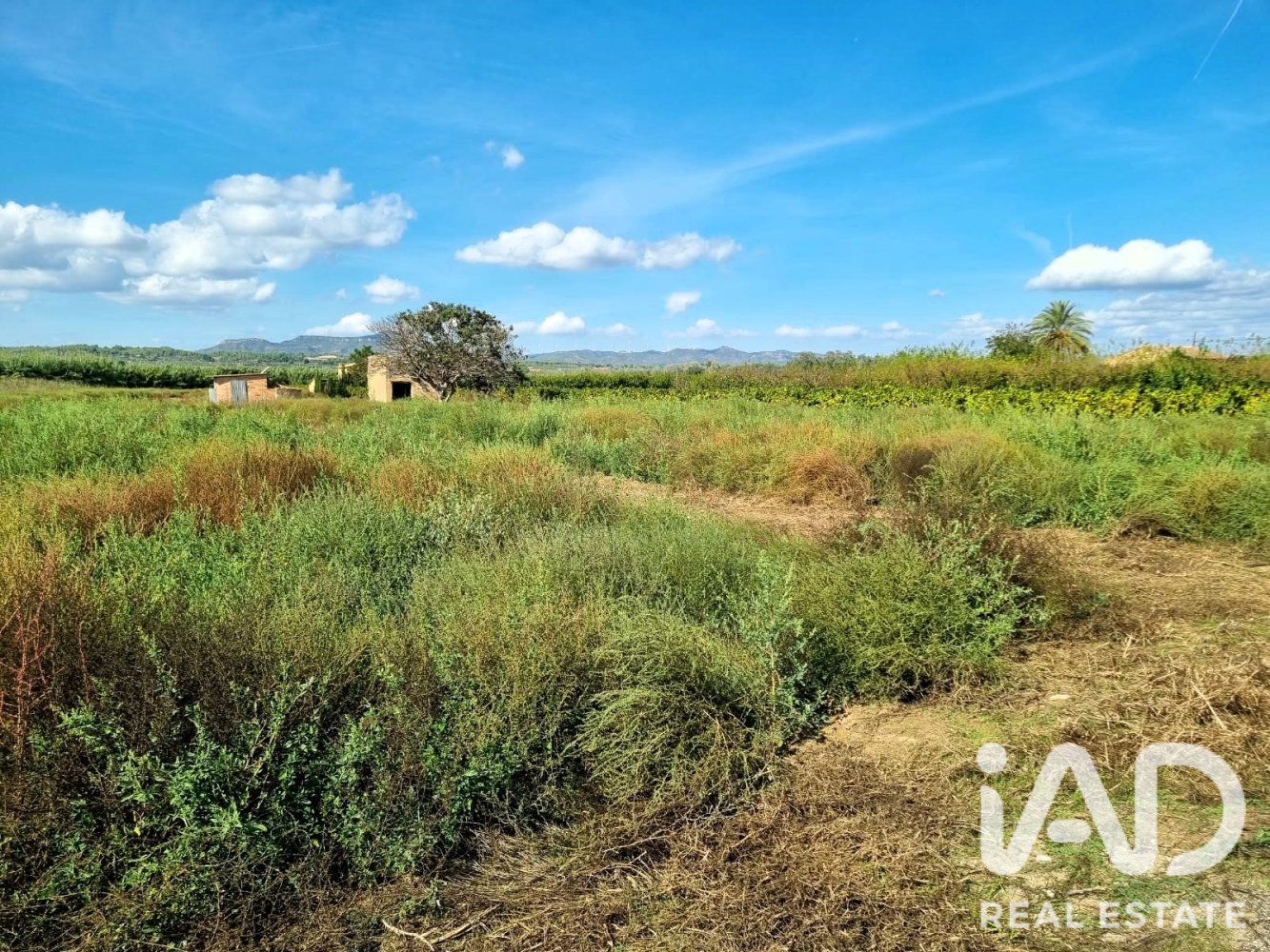 Land plot à Ginestar, Tarragona, Espagne 6228 m2 No. 198607