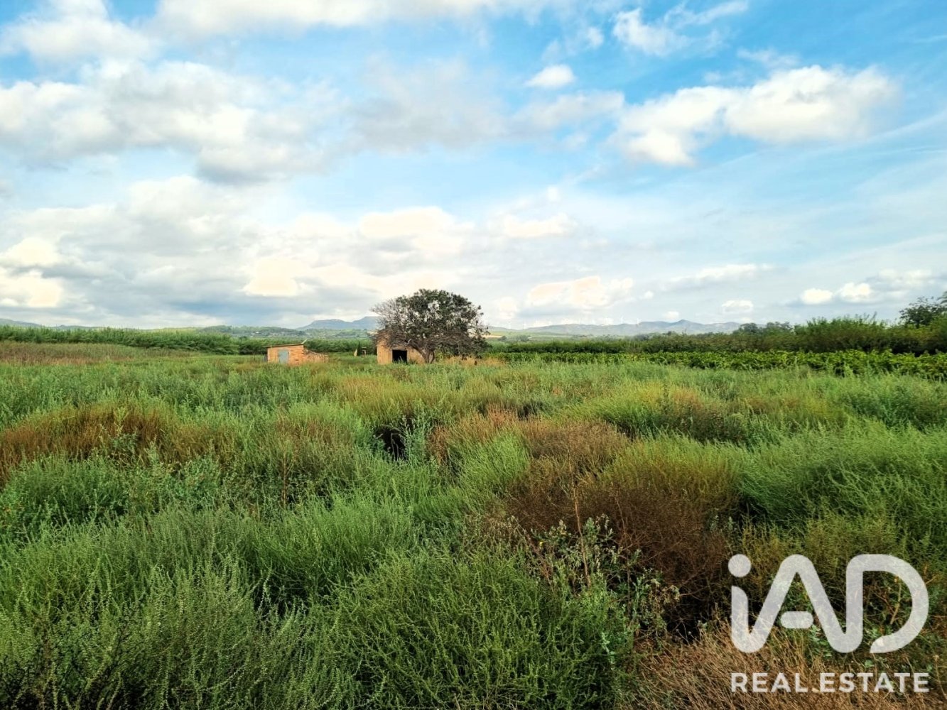 Land plot à Ginestar, Tarragona, Espagne 6228 m2 No. 198607