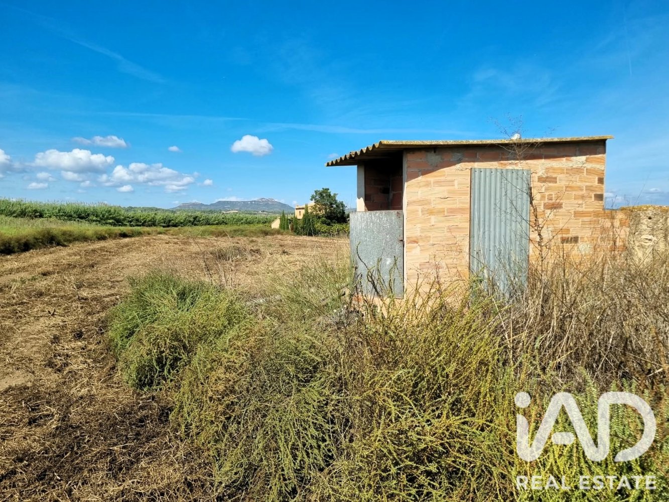 Land plot à Ginestar, Tarragona, Espagne 6228 m2 No. 198607