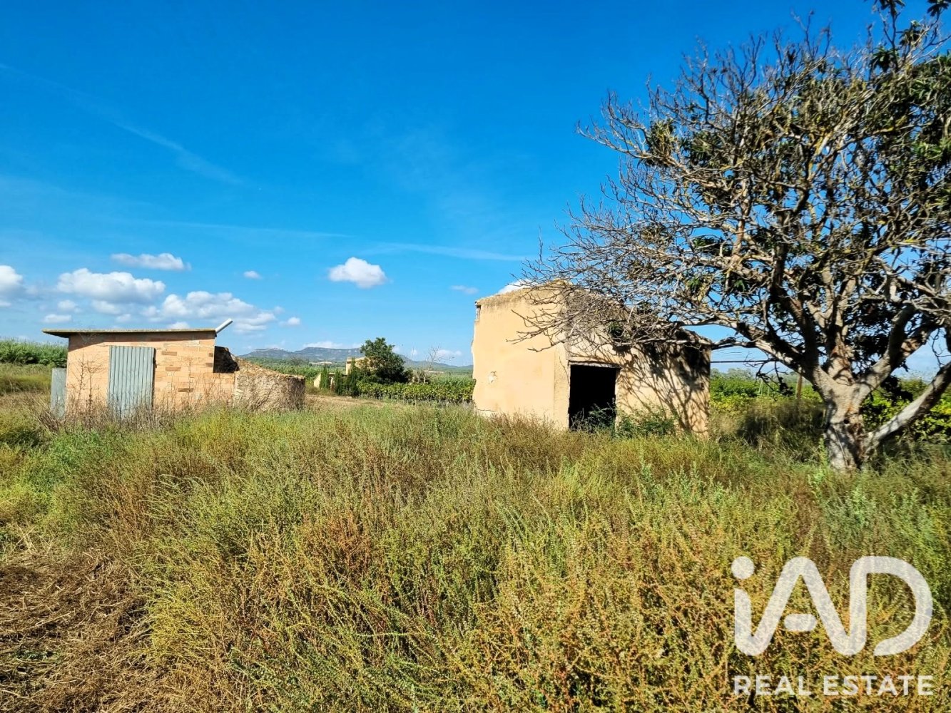 Land plot à Ginestar, Tarragona, Espagne 6228 m2 No. 198607