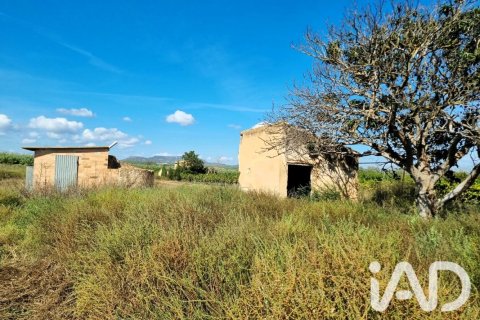 Land plot à Ginestar, Tarragona, Espagne 6228 m2 No. 198607