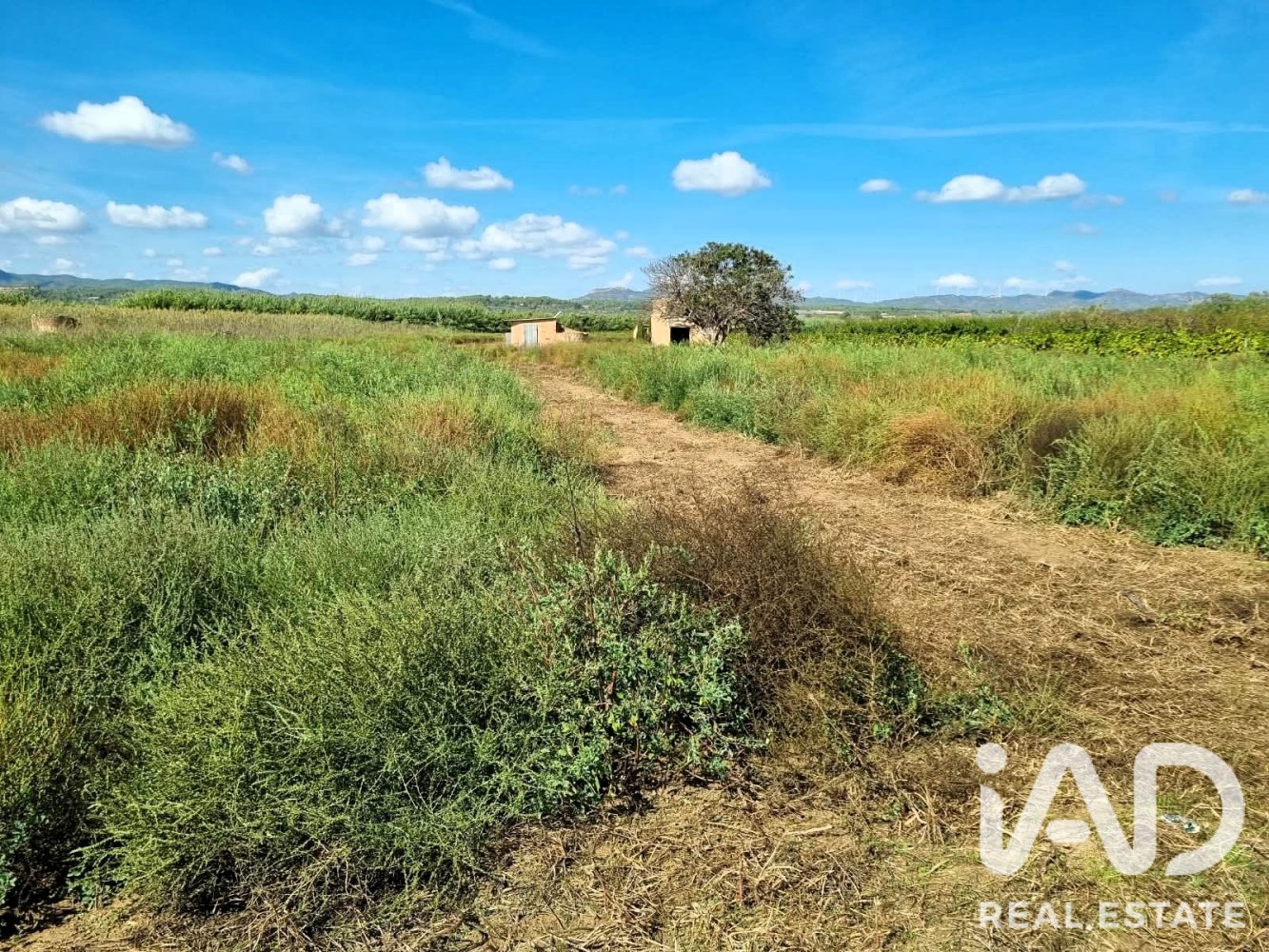 Land plot à Ginestar, Tarragona, Espagne 6228 m2 No. 198607