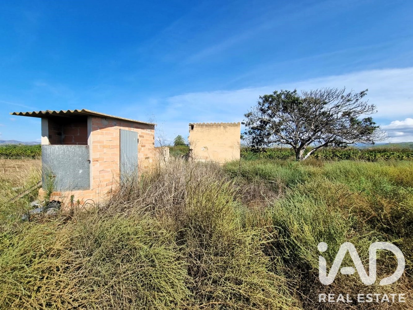 Land plot à Ginestar, Tarragona, Espagne 6228 m2 No. 198607