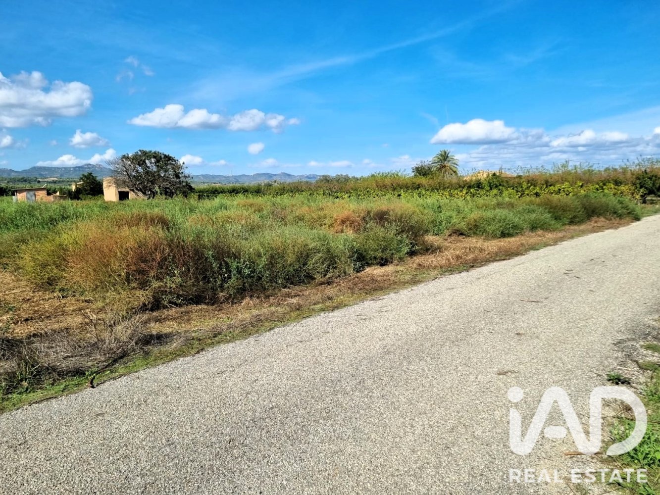Land plot à Ginestar, Tarragona, Espagne 6228 m2 No. 198607