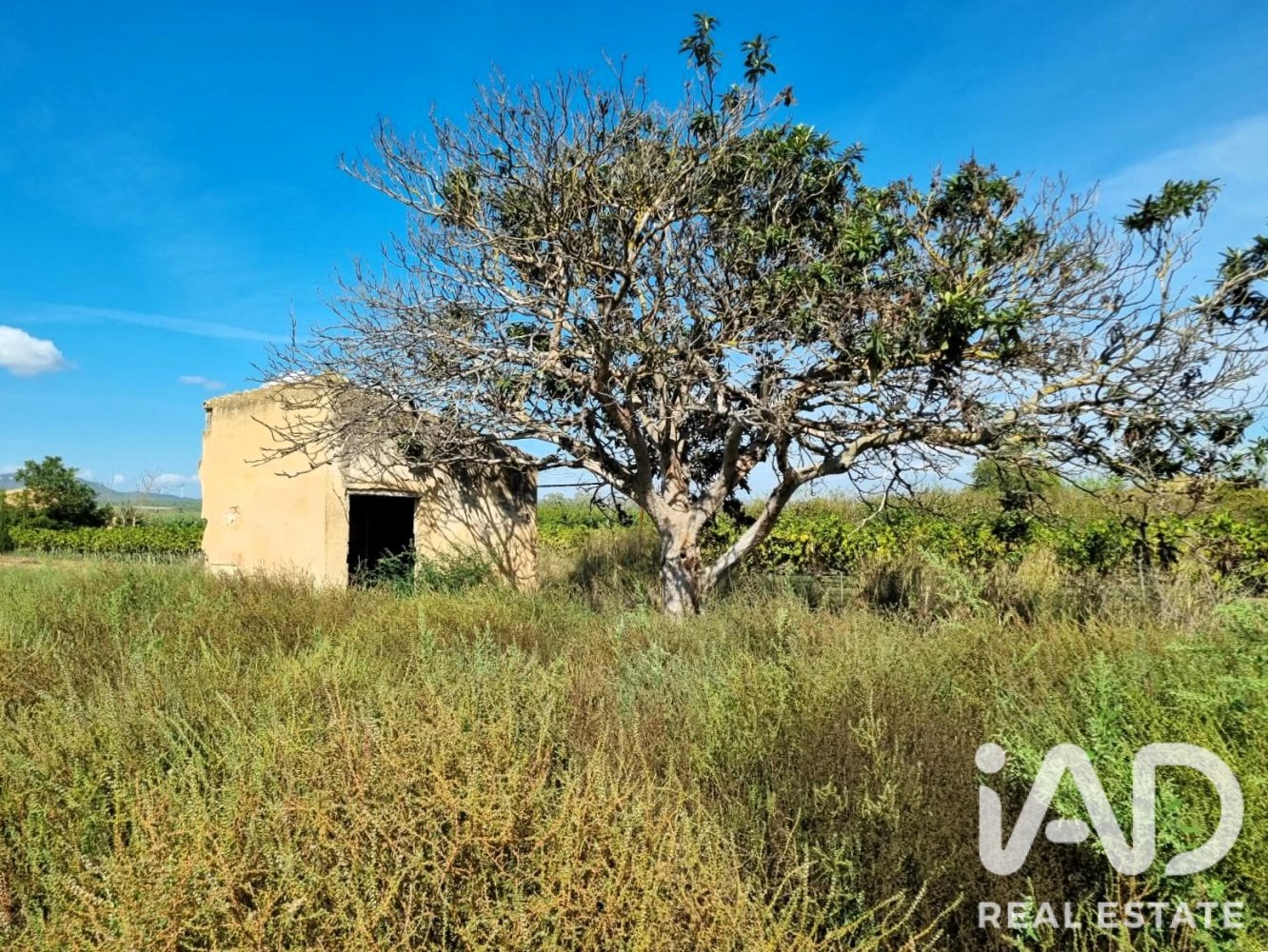Land plot à Ginestar, Tarragona, Espagne 6228 m2 No. 198607