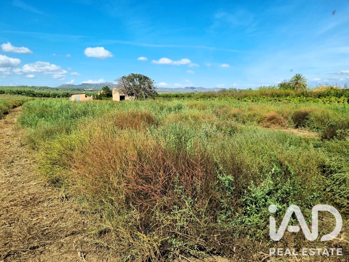 Land plot à Ginestar, Tarragona, Espagne 6228 m2 No. 198607