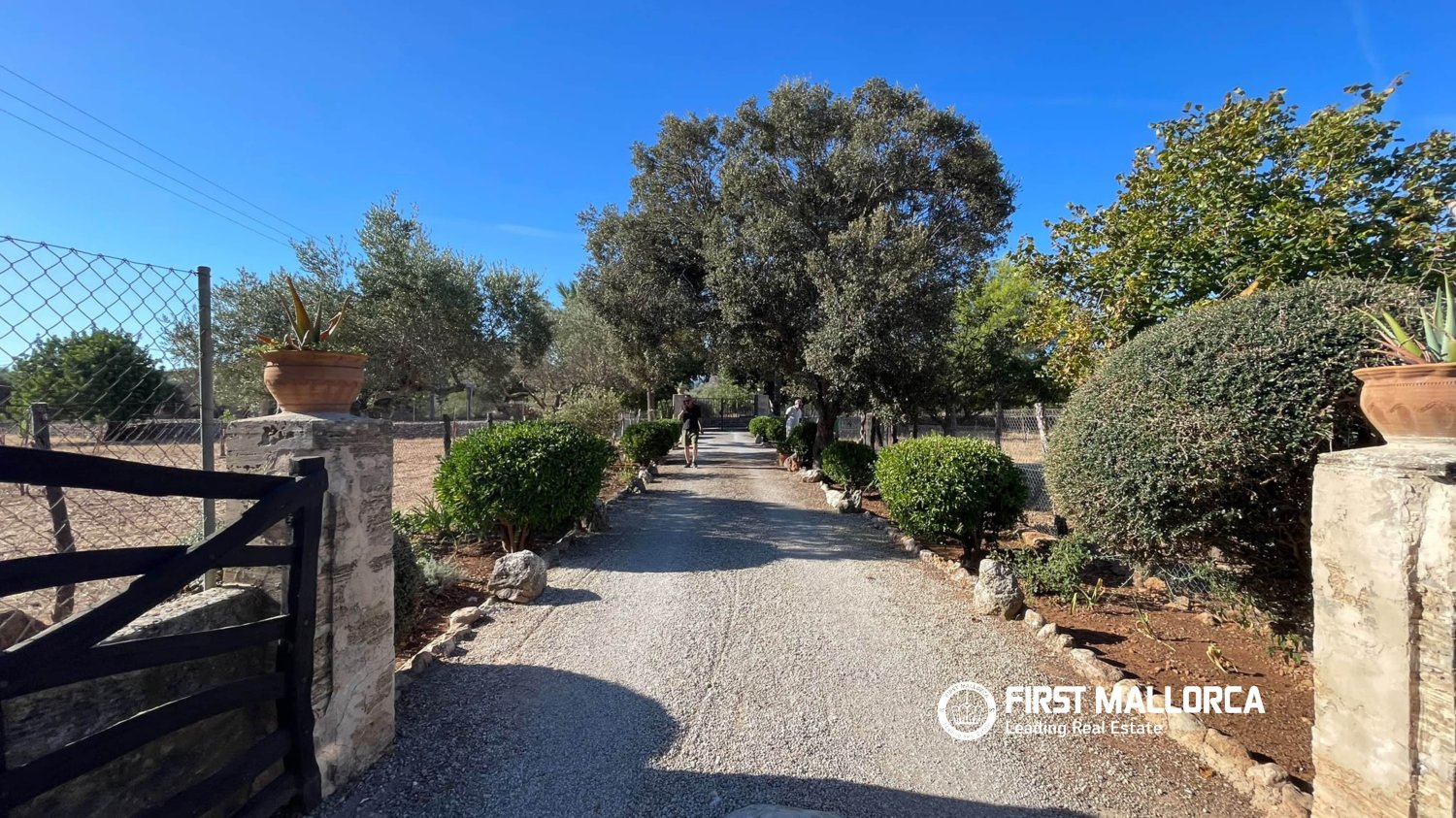 Finca in Pollenca, Mallorca, Spanien 4 Schlafzimmer, 179 m2 Nr. 197363