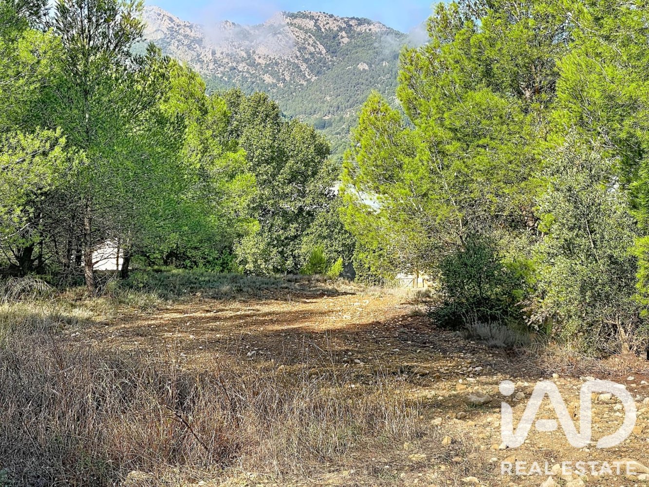Zemes gabals Muro de Alcoy, Alicante, Spānijā 120274 m2 Nr. 198596