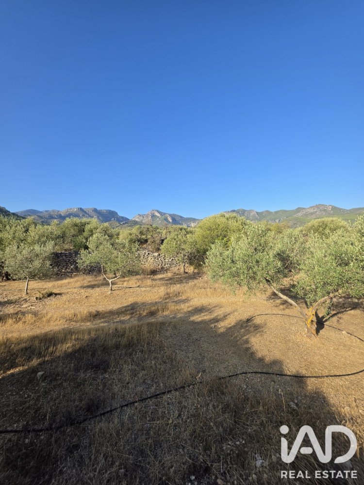 Zemes gabals Rasquera, Tarragona, Spānijā 11730 m2 Nr. 197732