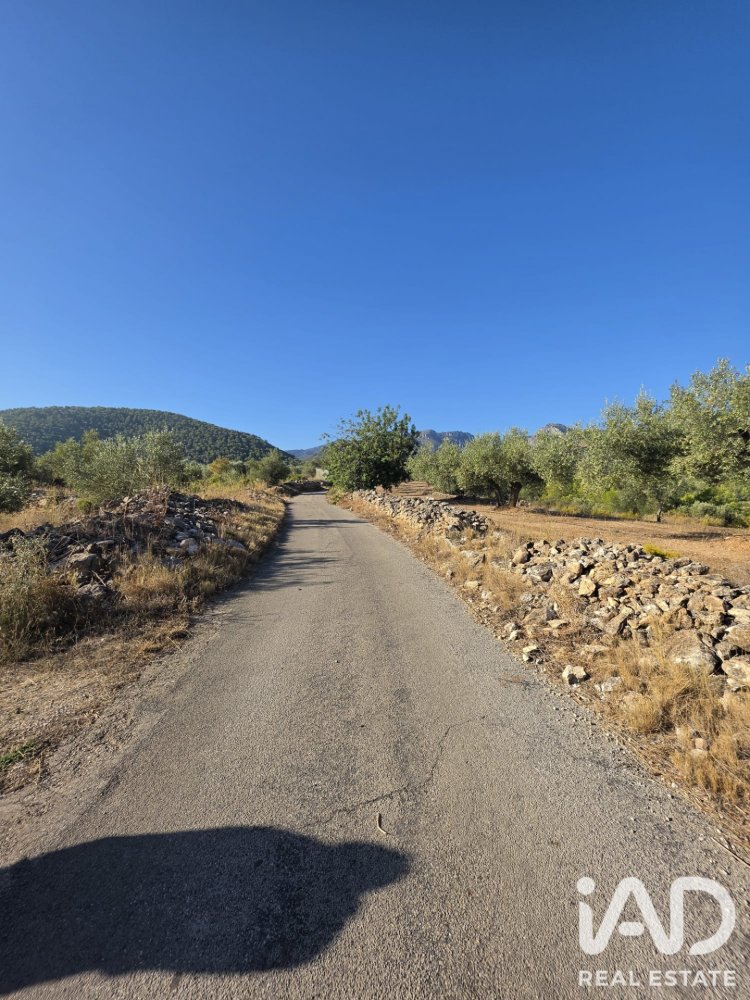 Zemes gabals Rasquera, Tarragona, Spānijā 11730 m2 Nr. 197732