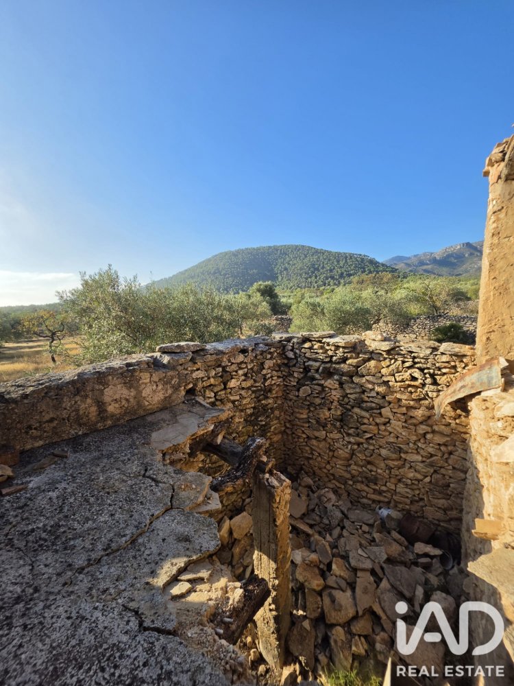 Zemes gabals Rasquera, Tarragona, Spānijā 11730 m2 Nr. 197732