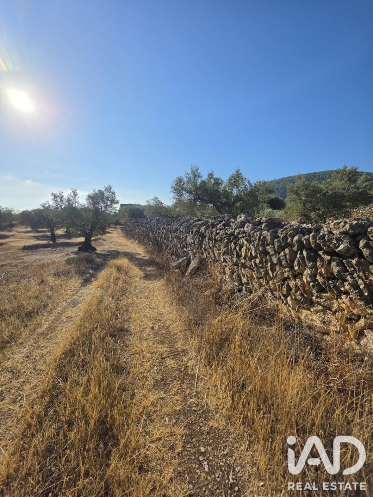 Zemes gabals Rasquera, Tarragona, Spānijā 11730 m2 Nr. 197732