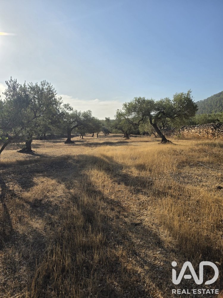 Zemes gabals Rasquera, Tarragona, Spānijā 11730 m2 Nr. 197732