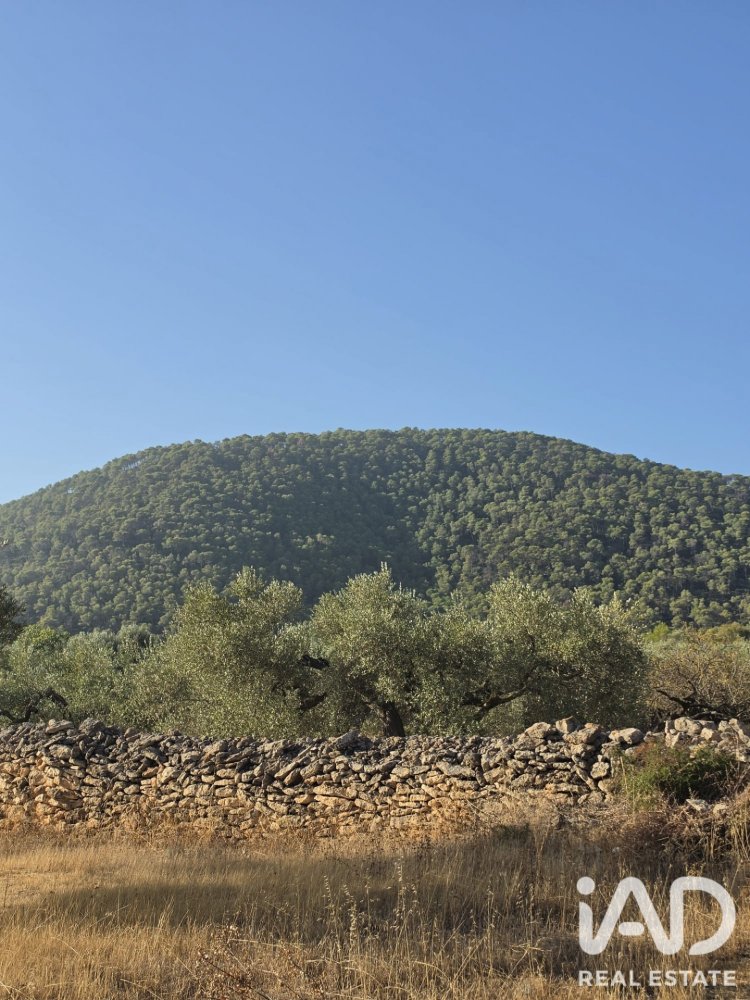 Zemes gabals Rasquera, Tarragona, Spānijā 11730 m2 Nr. 197732