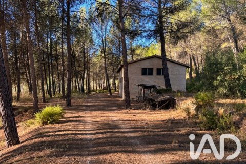 Zemes gabals Alcoy, Alicante, Spānijā 21000 m2 Nr. 197671