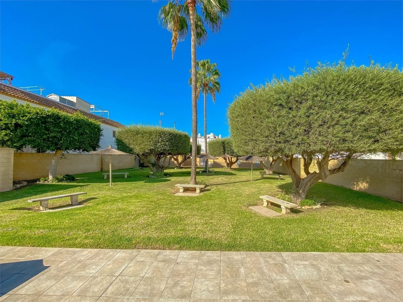 Bungalow a Torrevieja, Alicante, Spagna 55 mq. N° 198138